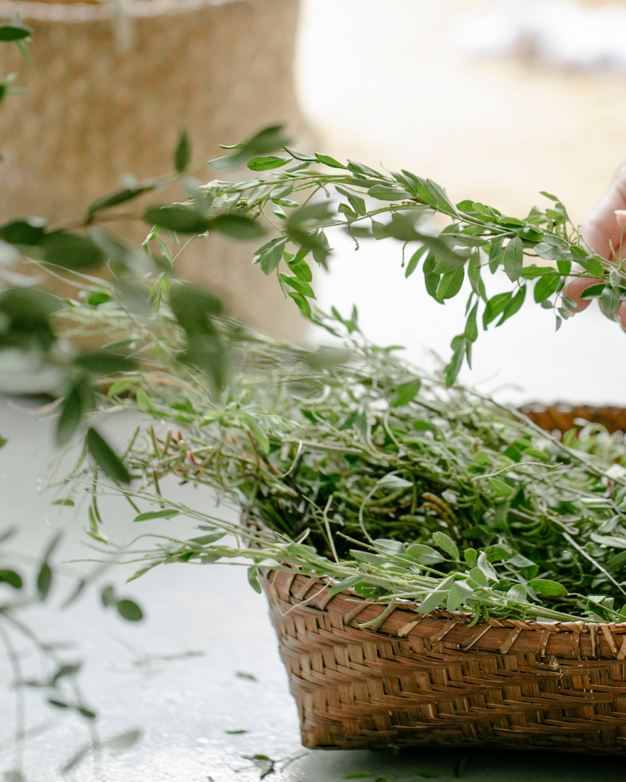 אינסטגרם קימה - BOARD (33)