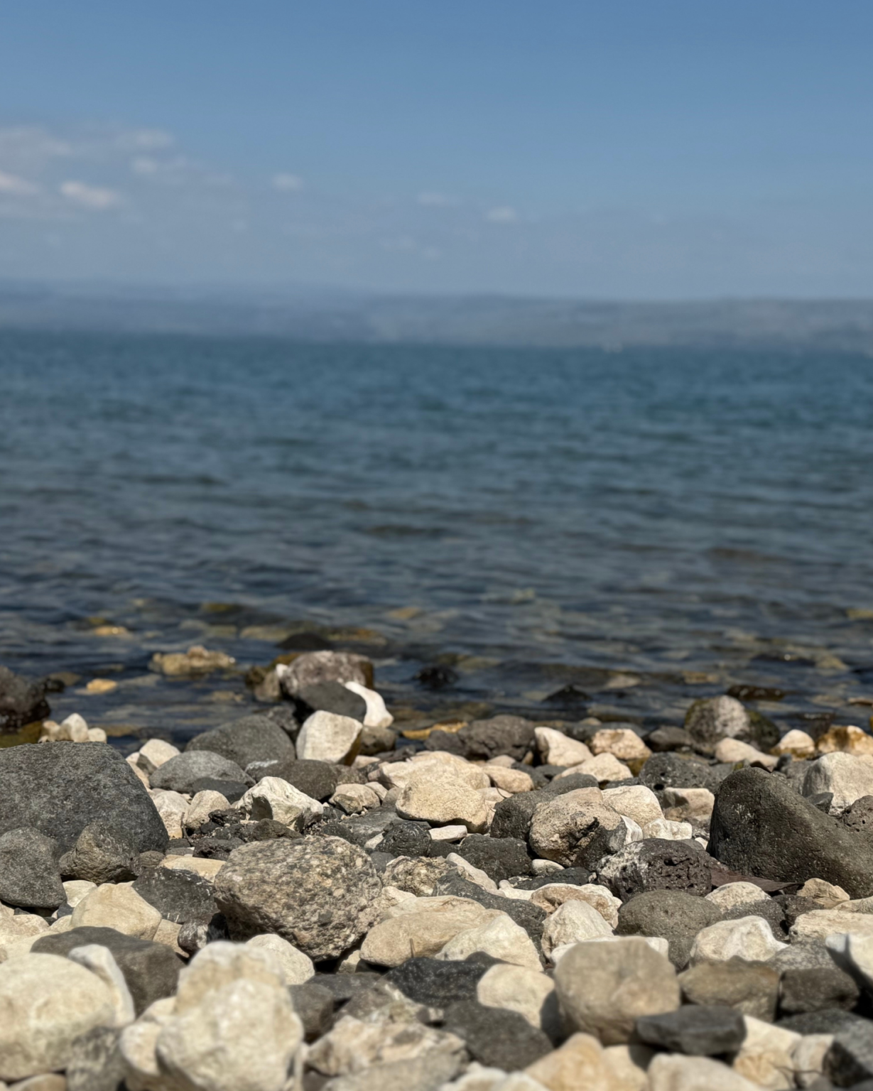 אינסטגרם קימה - BOARD (36)