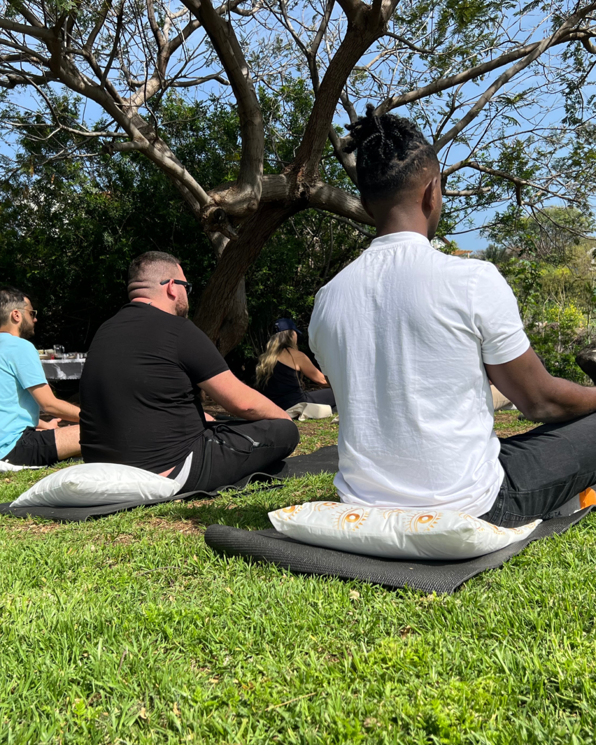 אינסטגרם קימה - BOARD (38)