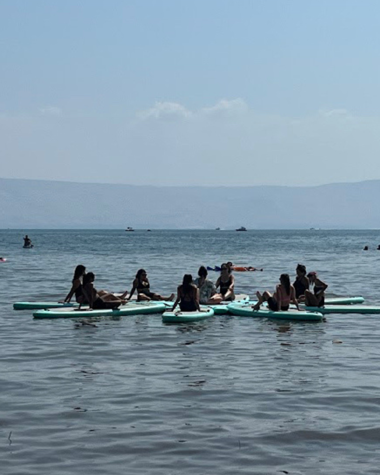אינסטגרם קימה - BOARD (56)