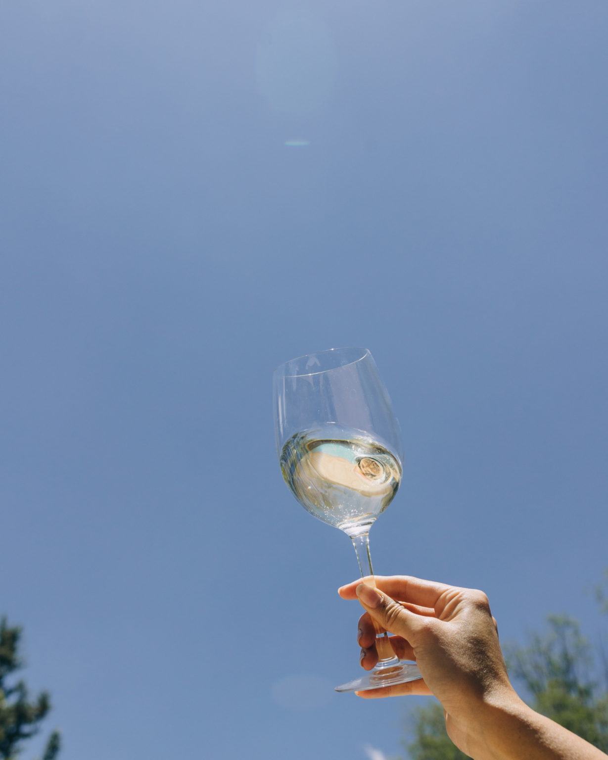 אינסטגרם קימה - BOARD - 2025-07-26T202344.372