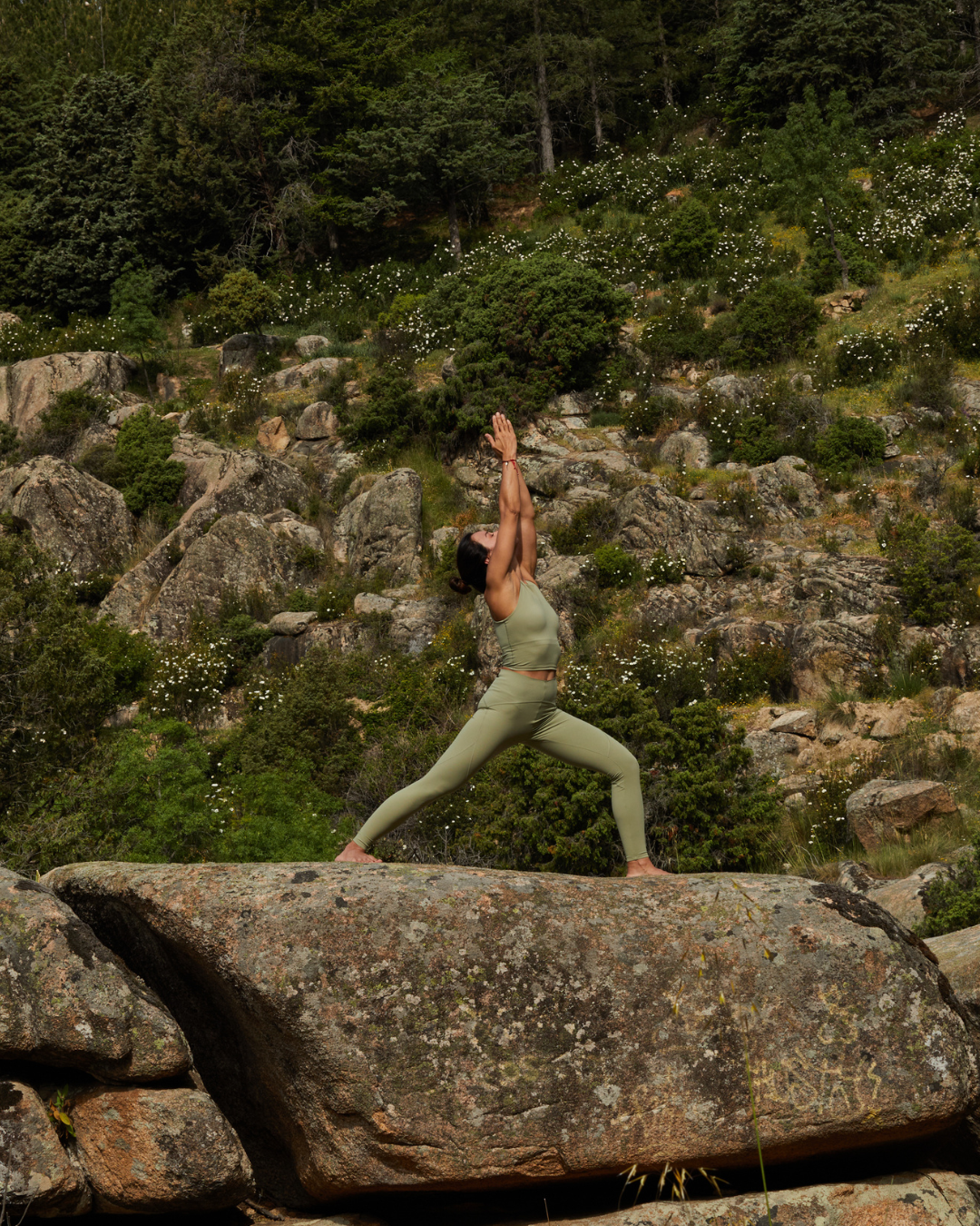 הפקת וולנס בצפון