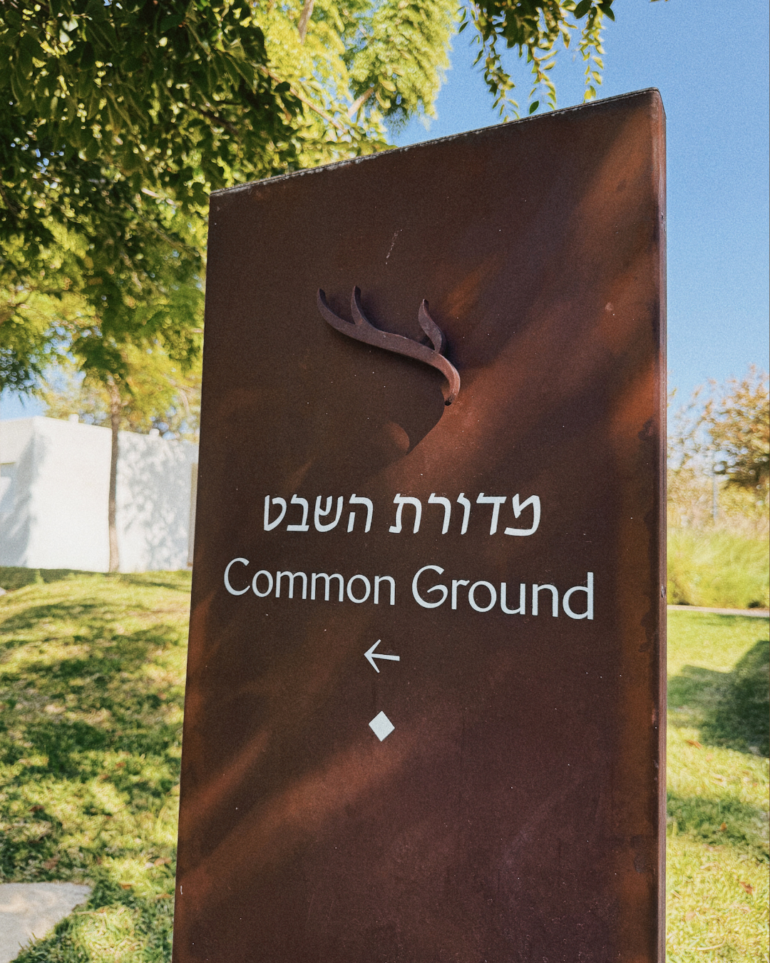 וולנס בצפון