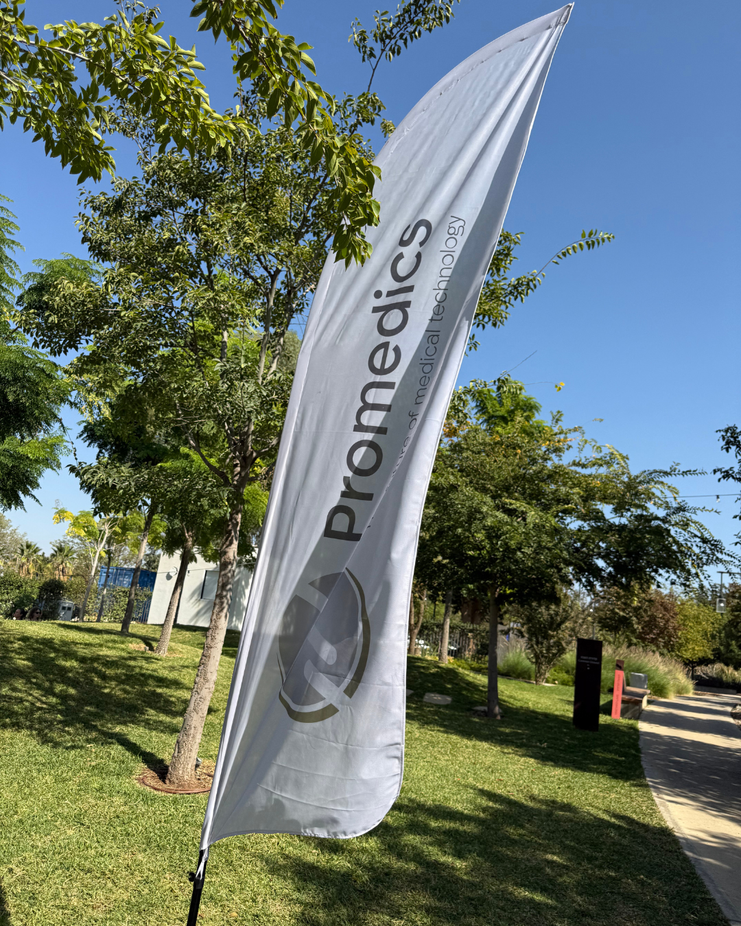 קימה וולנס בצפון